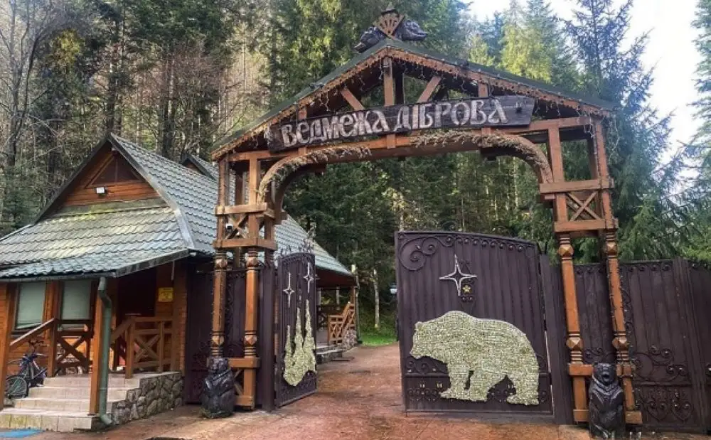 Стала відома доля “дачі кума Путіна” на Закарпатті: кому її передали в управління