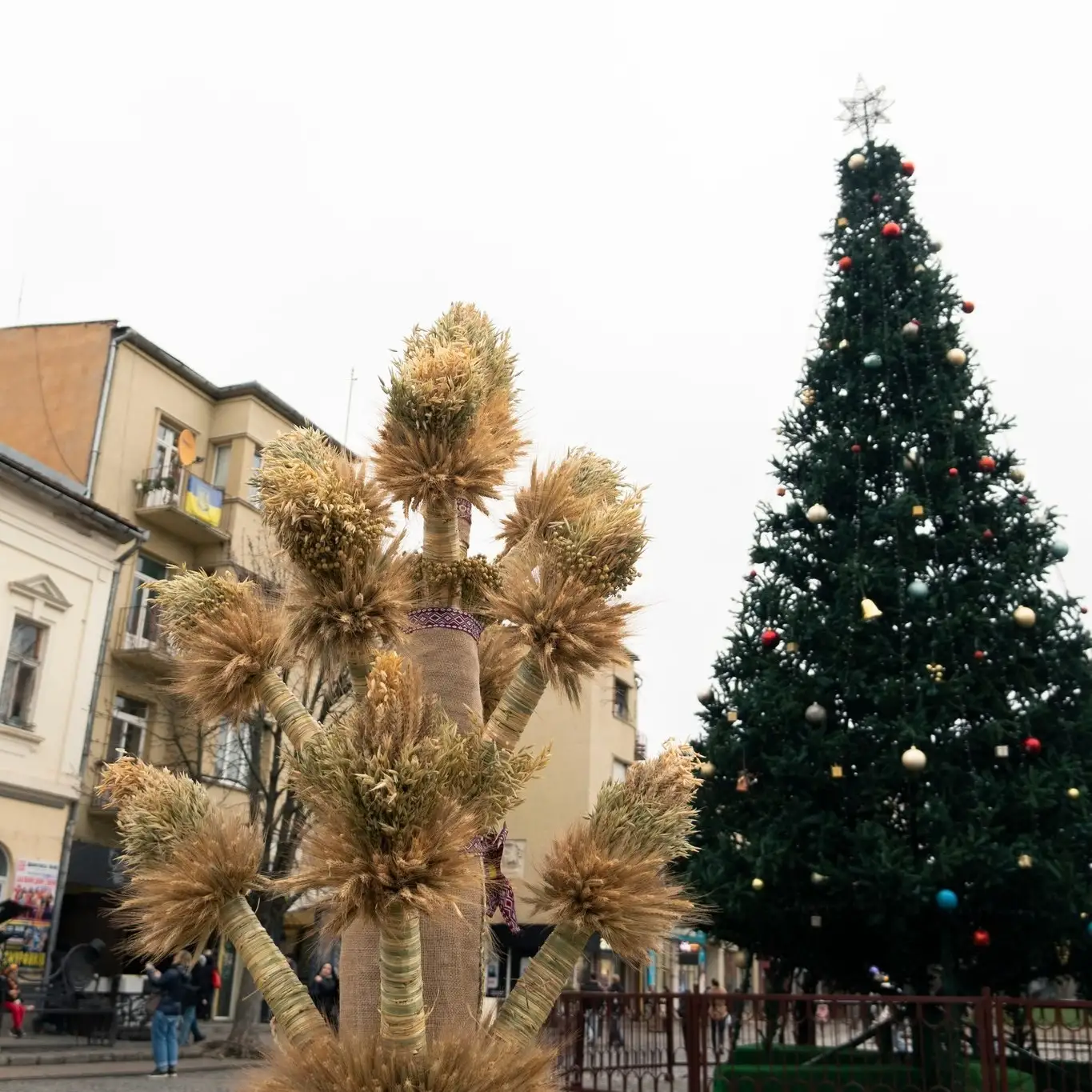 У Мукачеві поруч з різдвяною ялинкою встановили дідух