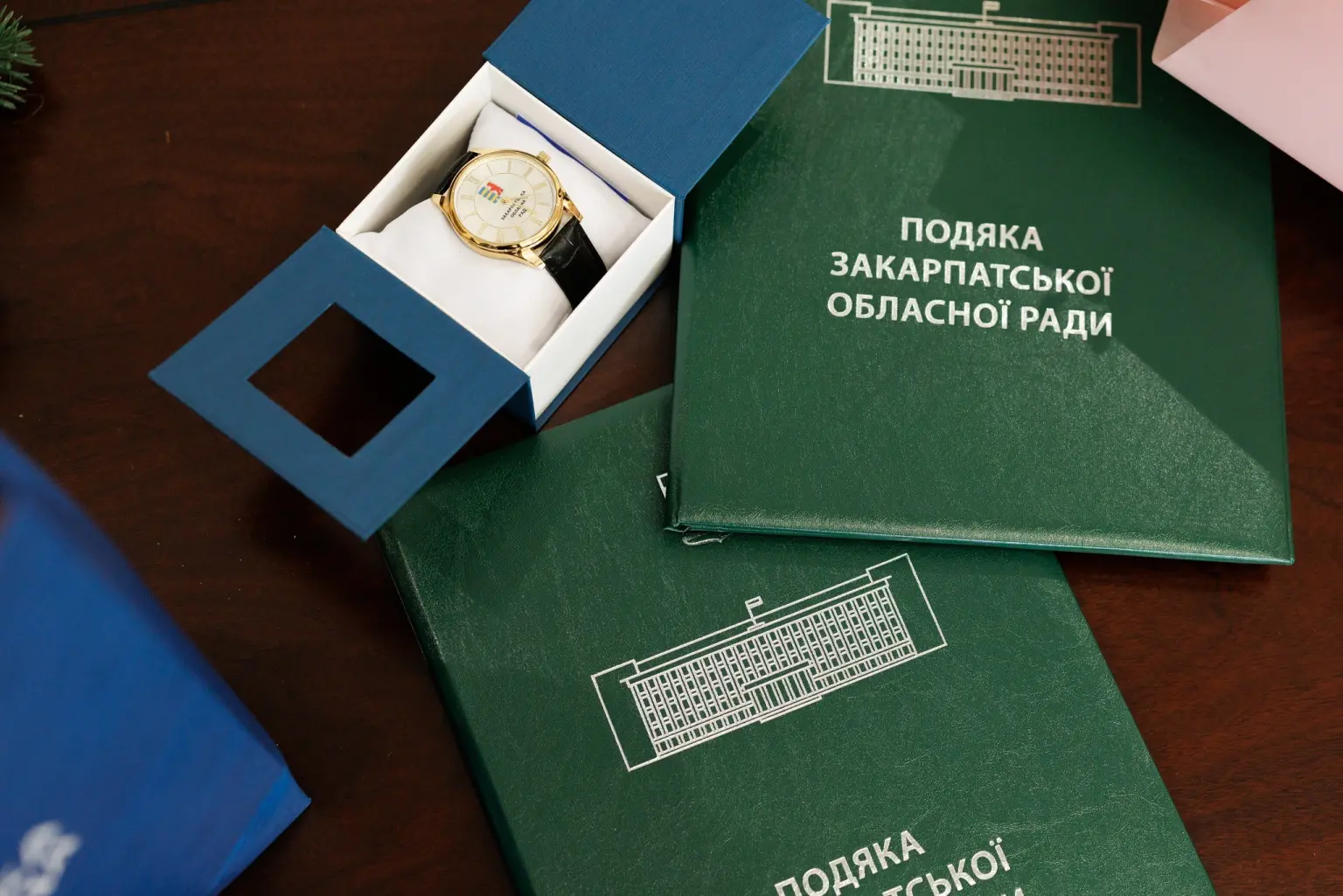 Закарпатський фристайл із золотим присмаком: обласна рада привітала чемпіона світу