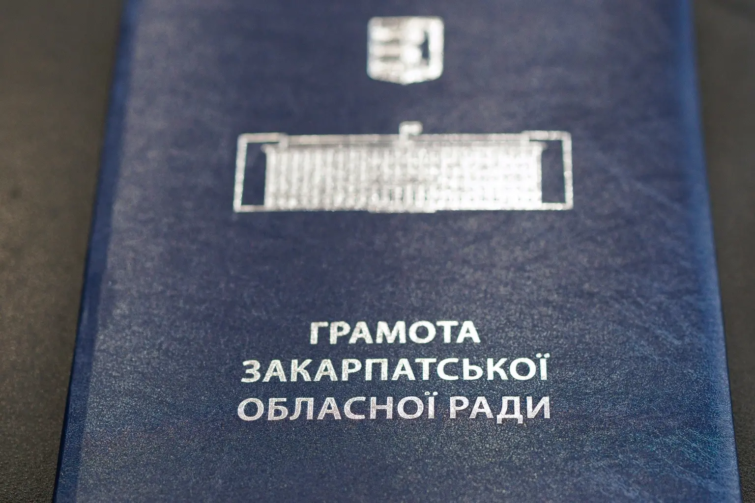 Відзнака за врятовані серця: обласна рада нагородила лікарку-кардіолога