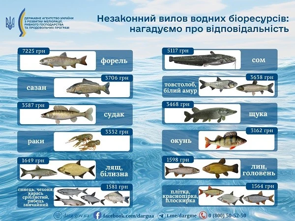 Ціна незаконного улову: як у 2026 році браконьєри ризикують майном та свободою