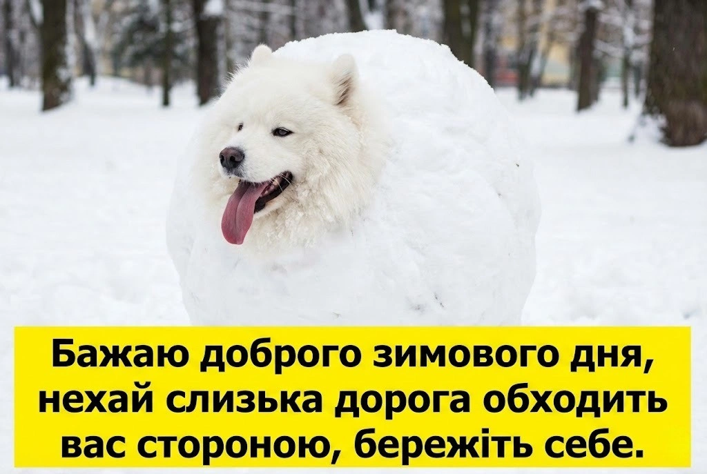 Доброго зимового дня: красиві картинки та душевні листівки для гарного настрою