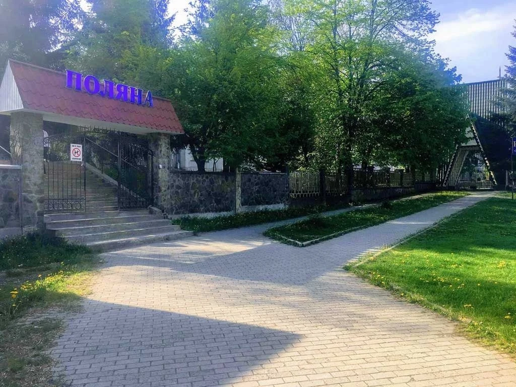 Уряд дозволив МПП «Алекс» викупити спецдозволи на видобуток мінеральної води на Закарпатті