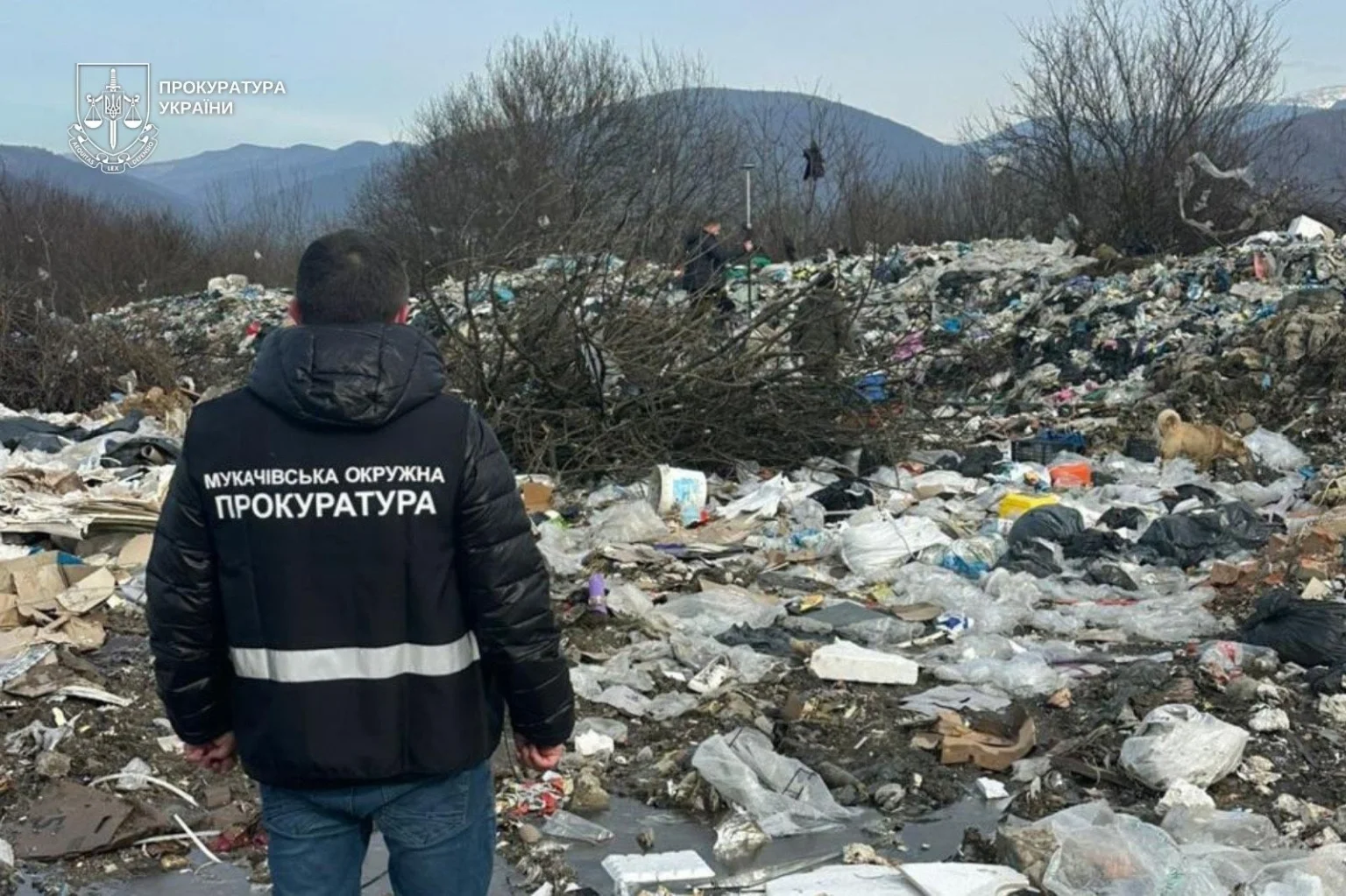 Закарпатського посадовця судитимуть за стихійне звалище в урочищі «Чонок»