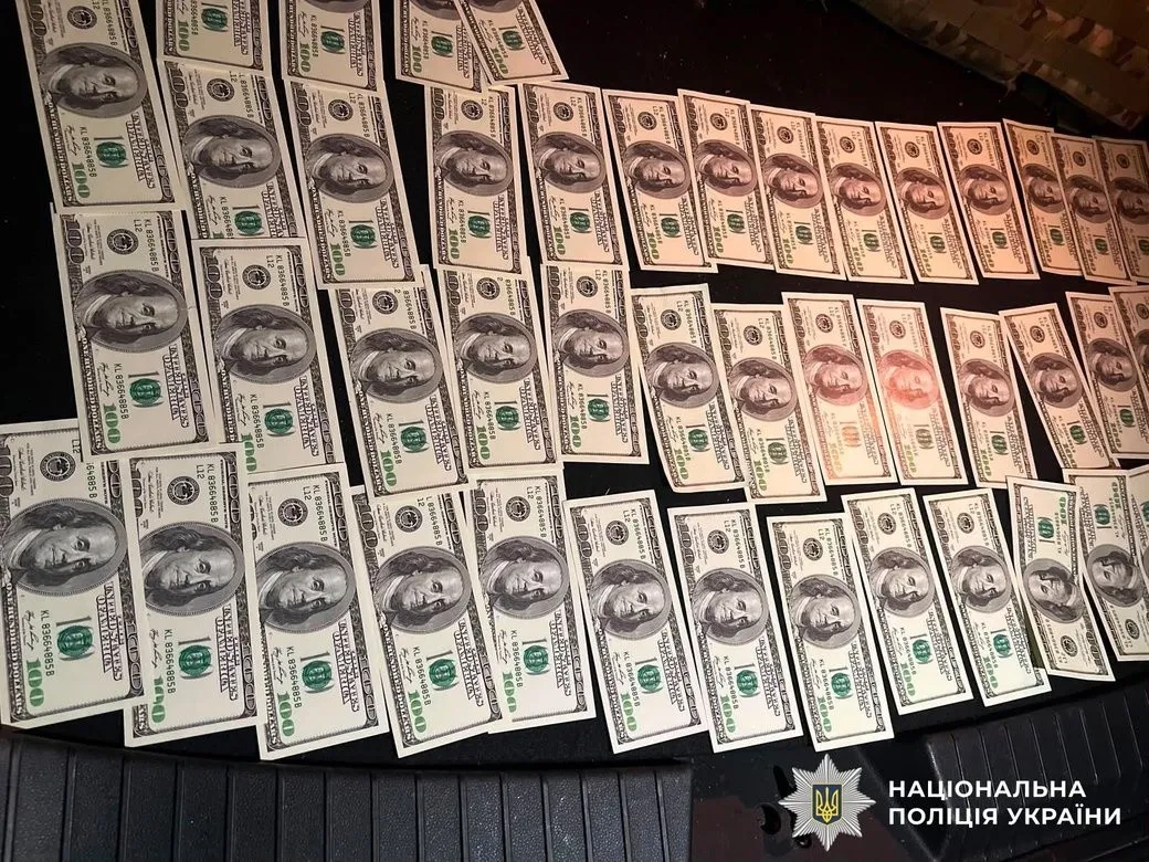 П’ять тисяч доларів за втечу через Дністер: на Вінниччині викрили організатора незаконного трансферу